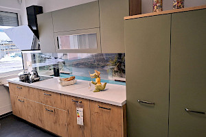 Brigitte Sinus und Delta